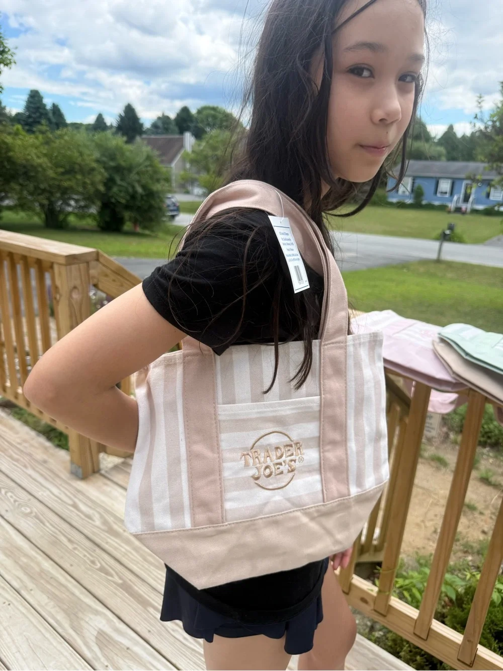 Pastel Stripe Canvas Tote Bag - Blue, Green, Pink Traderjoe tote brand new